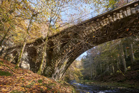 Gemeinde Obernzell Landkreis Passau Erlau Erlautal Granitbahnbrücke Herbst (Dirschl Johann) Deutschland PA